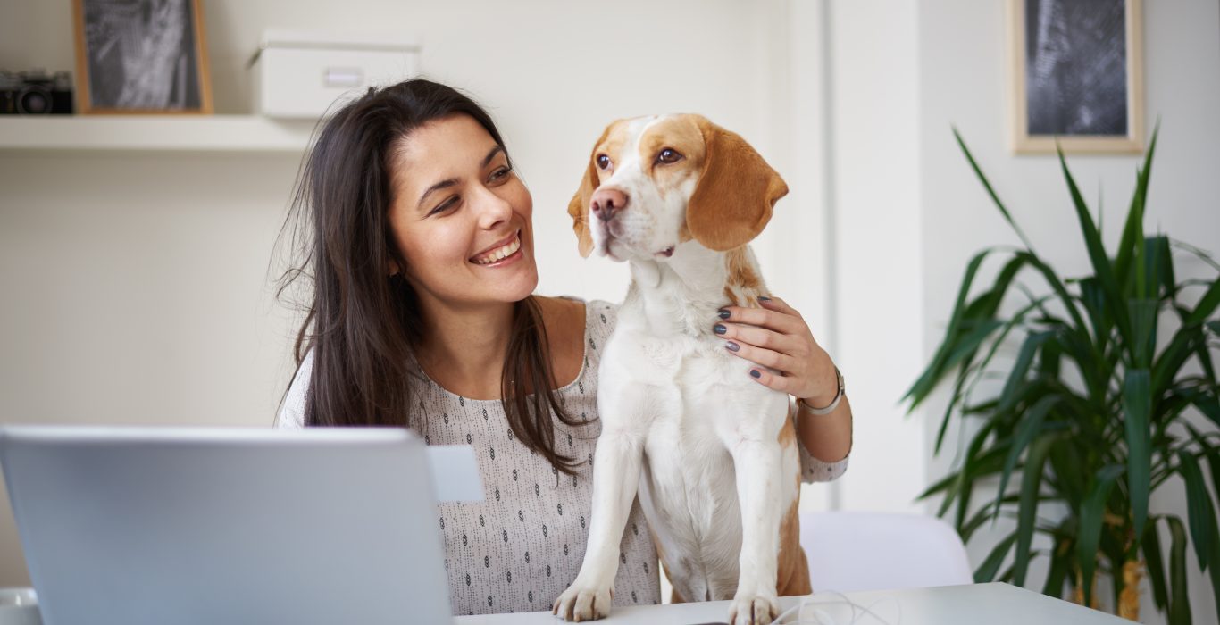 Caucasian businesswoman sitting in home office with her dog